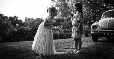 Portfoliocasamento-5914-e1524823726955-2100x1157