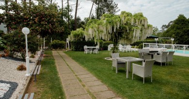 13 - JARDIM 5