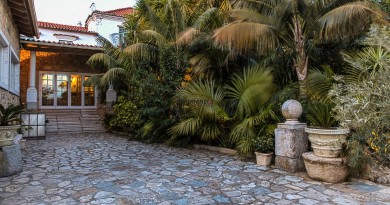 QuintadosGafanhotos