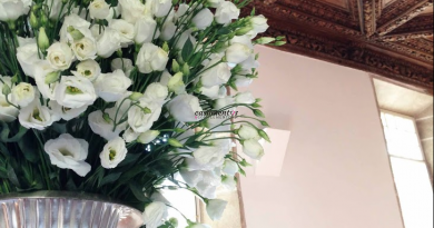 Screen Shot 2019-09-17 at 16.55.16