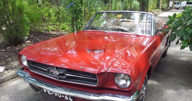 Mustang