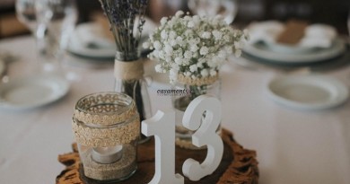 TVQZ3333
