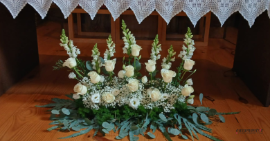 Instagram Post Promoção da Semana Desconto Progressivo Moderno Preto e Verde - 2025-11-14T115123.955